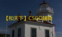 【和天下】CSGO辅助