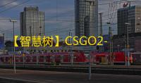 【智慧树】CSGO2-辅助