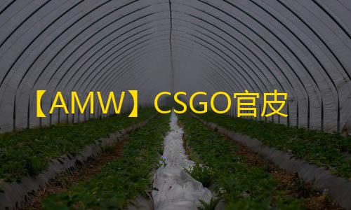 【AMW】CSGO官皮-辅助