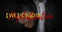 【WE】CSGO5E-辅助