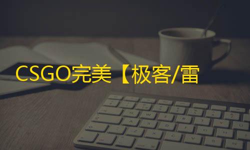 CSGO完美【极客/雷达】辅助