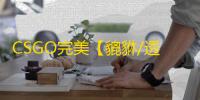 CSGO完美【貔貅/透饰/梓喵/仅支持完美平台】辅助