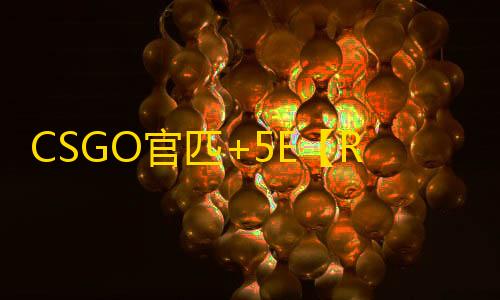 CSGO官匹+5E【RW/透饰/梓喵/支持官匹/支持5E】辅助