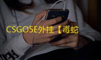 CSGO5E外挂【毒蛇/透饰/梓喵/仅支持5E平台】辅助